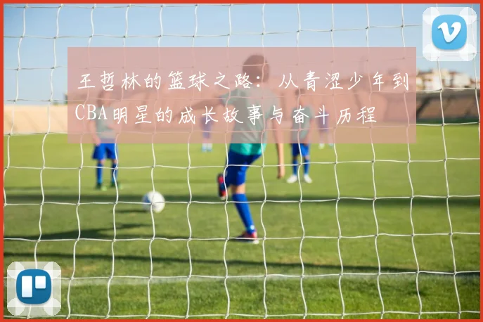 王哲林的篮球之路：从青涩少年到CBA明星的成长故事与奋斗历程