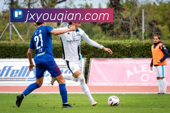 zoty中欧APP 封面图